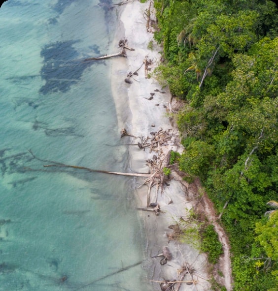 Caminata en el Parque Nacional Cahuita