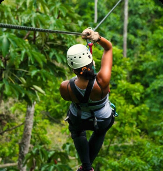 Tour de Canopy