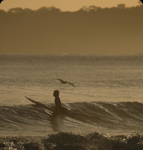 Lecciones de surf